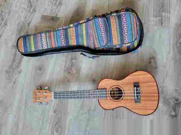 全新乐器半价:电钢琴88键,电子琴61键,电吉他,标准吉他,Ukulele,长号(拉管)