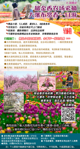 大瀑布的樱花、玉兰花、郁金香都到了最美的季节