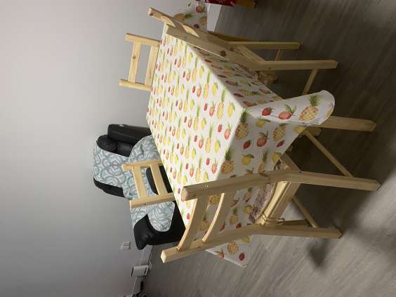 密西沙加两室一厅公寓出租一间