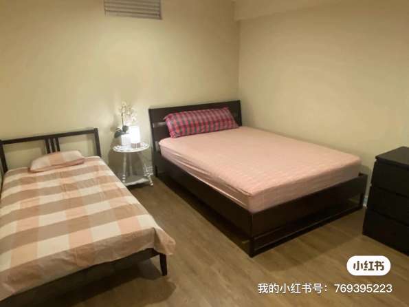 Newmarket 学区房 分门地下室 出租