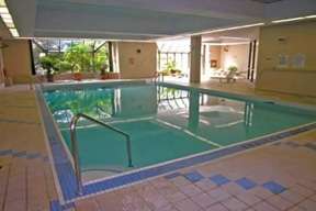 出租  Condo 1 卧室+ 1 Den (带门窗)