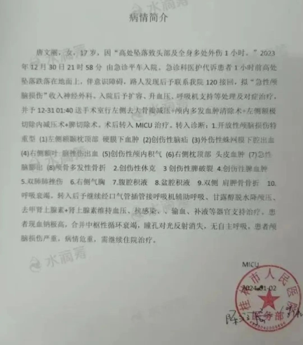 “女版胖猫”出现：两起悲剧的根源别忽略了！