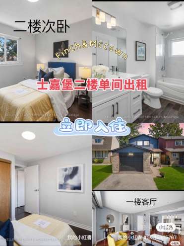 🏠土嘉堡Finch&Mccown红宝石对面独立屋二楼单间出租