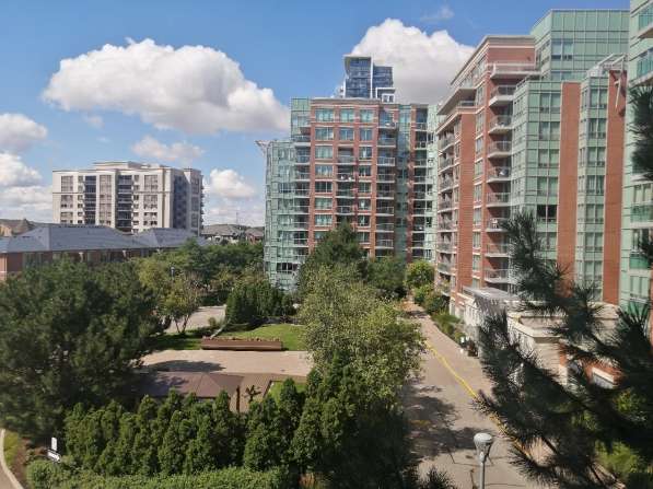 安大略省康山地区（Thornhill）1单间出租（5楼）