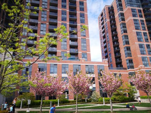 High Park Condo 找室友