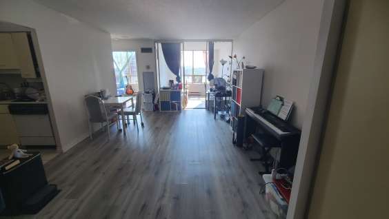 出租  Condo 1 卧室+ 1 Den (带门窗)