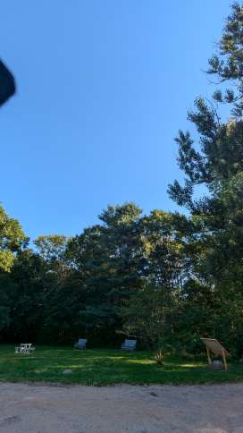 爱护房屋的家庭求租长租汉密尔顿东边的住房或独立屋的整层