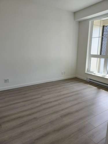 Langley new condo rent
