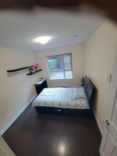 One room for rent