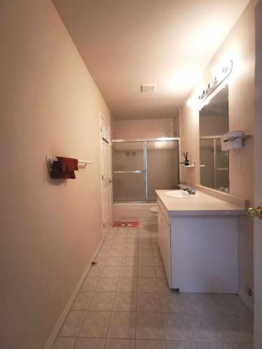 Port Moody Basement出租