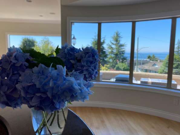 Semiahmoo 中学house2/3室出租