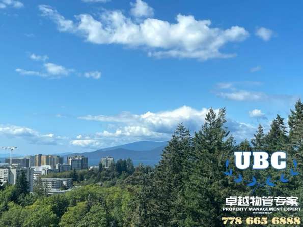 UBC 全新一房公寓