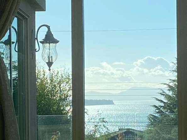 Semiahmoo 中学house2/3室出租