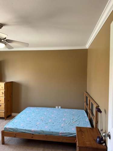 5号路夹Cambie内街独立屋2楼单房