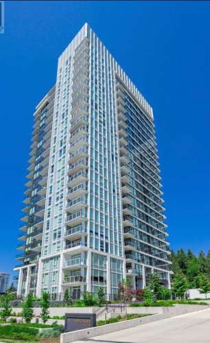 Burquitlam 两房一Den出租