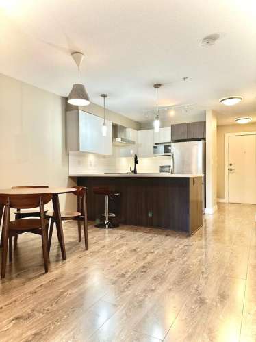 Burnaby带家具1房1厅1Den公寓