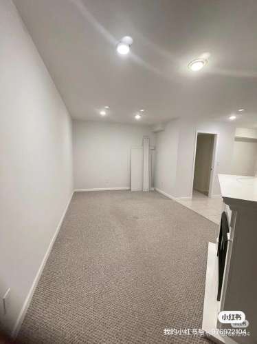 南素里basement出租