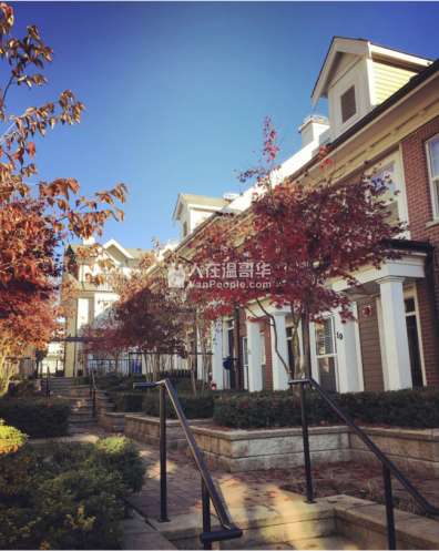 High gate Burnaby townhouse整租