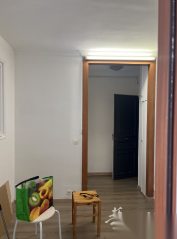 12区 Gard de Lyon车站3分钟 35平两居室
