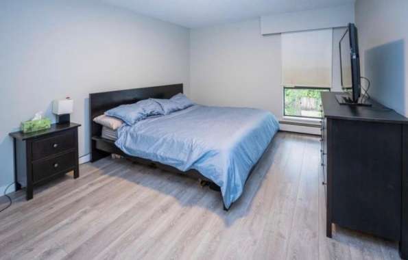 Lougheed一室一卫公寓带家具出租