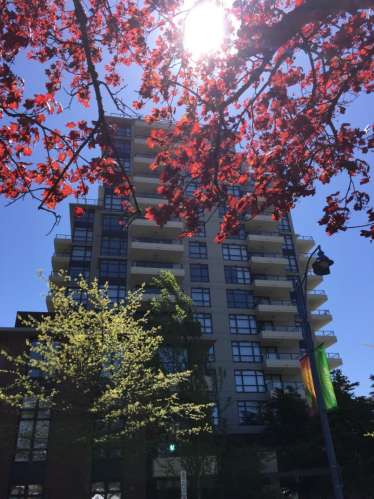 列治文 Lansdowne地铁站 2B2B自住公寓