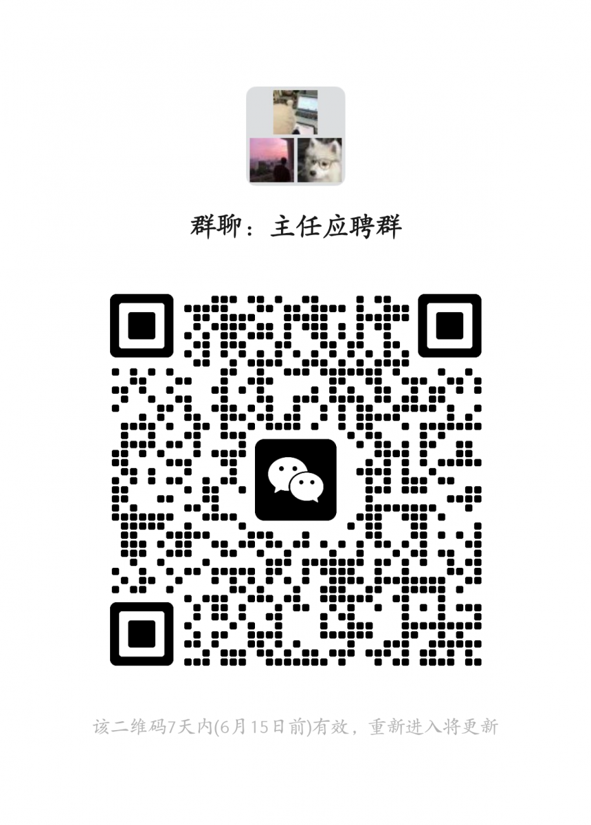 主任招聘